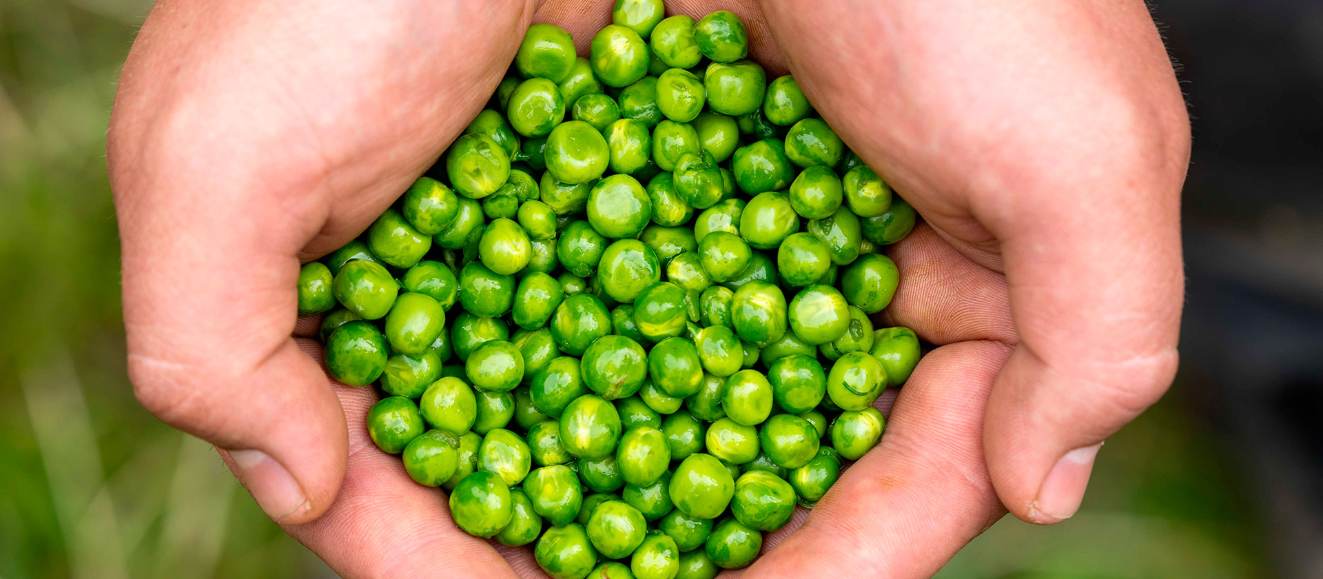 Updated Apetit Supplier Code of Conduct and sustainability requirements for raw materials and packaging materials enter into force